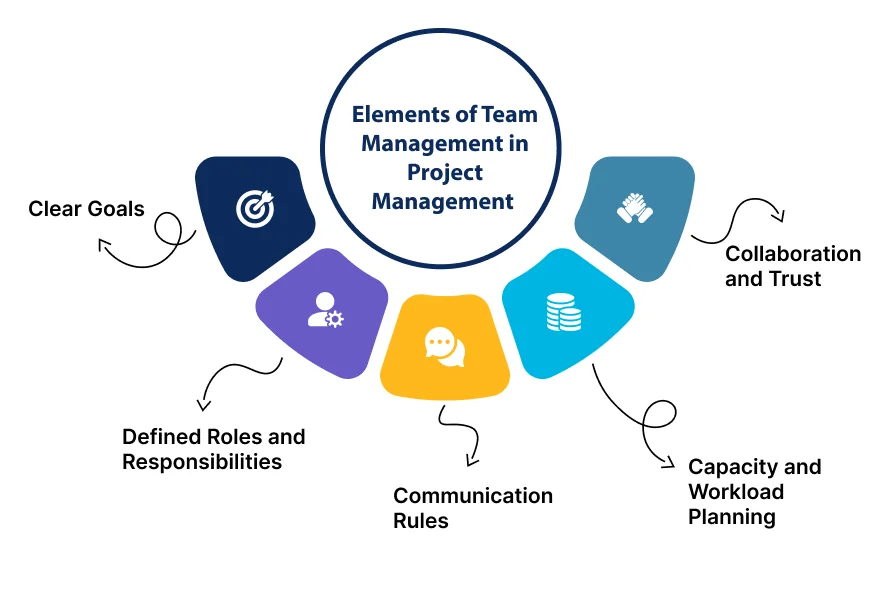 elements of team management in project management